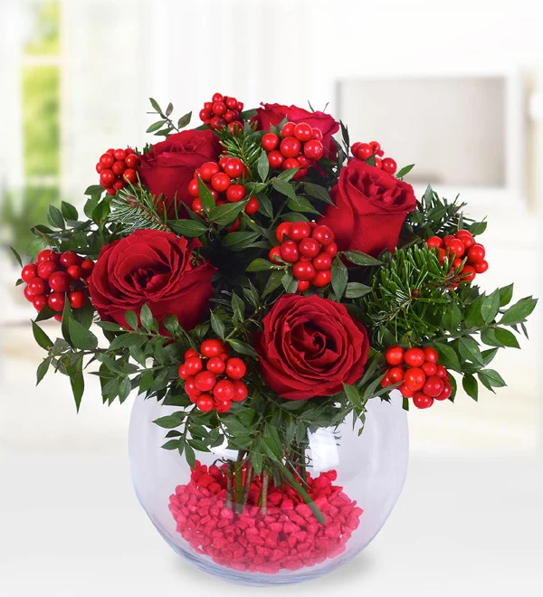 Fanusta kokina aranjman